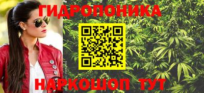 стаф Коммунар