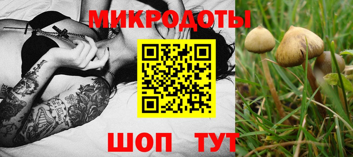 Кузнецк  Галлюциногенные грибы MAGIC MUSHROOMS  Вход с VPN 